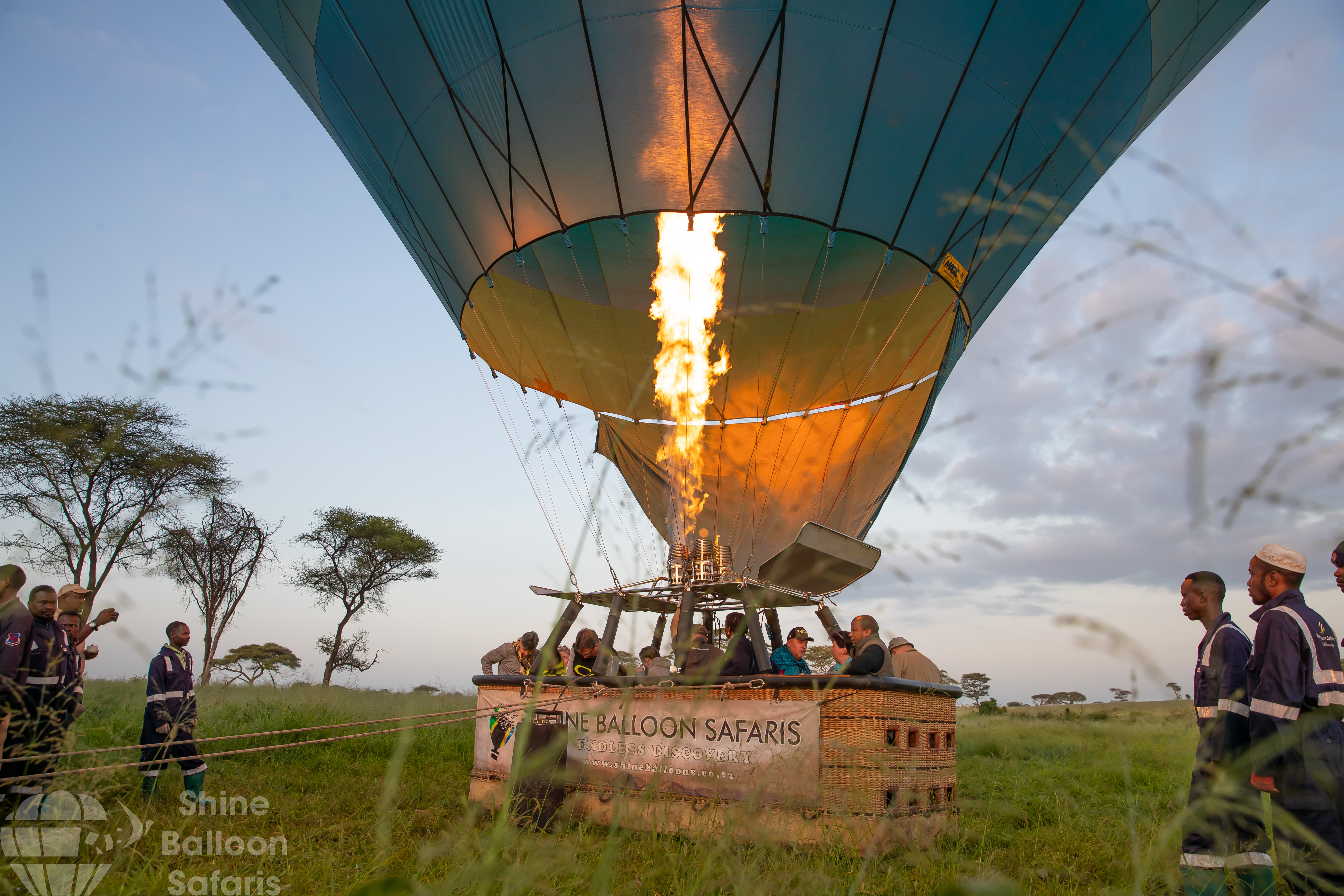 Safari Experience